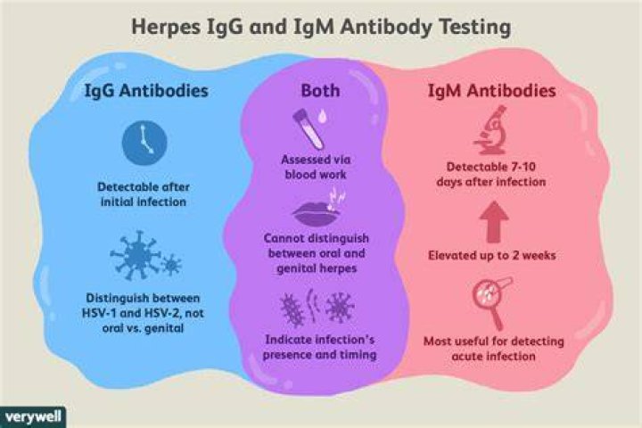 HSV-2 IGG Positive: Understanding the Risks and Implications