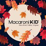 🌟 Illuminights @ Roanoke | Macaroni Kid New River Valley