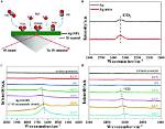In-Situ Ftir Spectroscopy Research of Prof. P. A. Christensen (2)