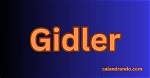 Introduction to Gidler
