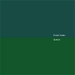Introduction to the Forest Green Color in Graphic Designing • Appy Pie