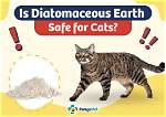 Is Diatomaceous Earth Safe for Cats? Vet-Reviewed Facts & Faq | Pangovet