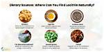 Is Lecithin Good for Weight Loss?