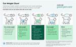 Is My Cat Overweight? Vet-Reviewed Advice on How to Tell & Help