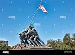 Is the Iwo Jima Pride Flag Real? (Truth Revealed)