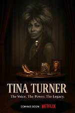 Is the Tina Turner Documentary on Netflix? (Where to Watch)