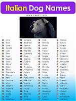 Italian Dog Names | Nameberry