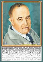 James Batcheller Sumner Biography - Facts, Childhood, Family Life & Achievements