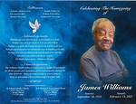 James Williams Obituary Who Was James Williams? How Did He Die?