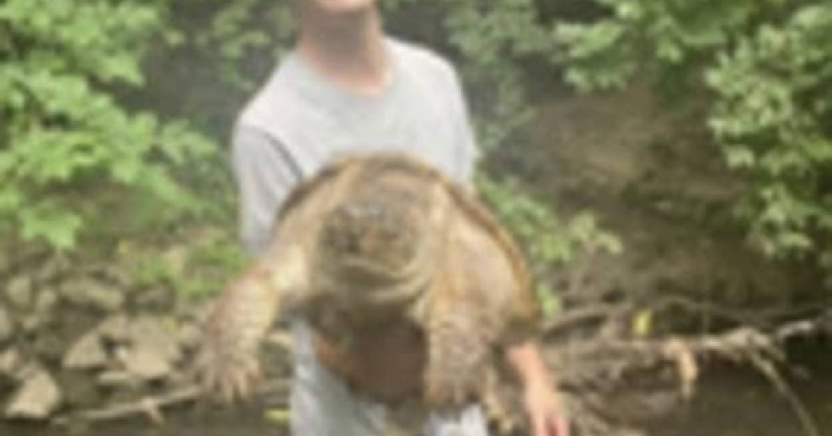 Johnny Knuckles Obituary, Death Reason: a Life Cut Short by a Tragic Accident