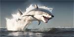 Jumping the Shark | Editorials