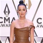 Katy Perry Decides to Stop Googling Herself