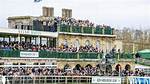 Kelso Racecourse News | Latest Headlines & Updates