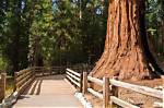 Kings Canyon, Sequoia National Parks Could Reopen in April After Recent Storms | News