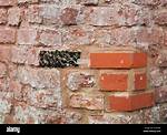 Laurel’s Plaited-Brick History Surfaces with Infrastructure Work | Columnists