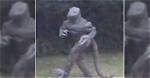 Legendary "Lizard Man" Reappears in South Carolina