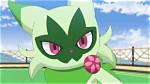 Liko and Floragato, Put All Your Heart into It - Pokémon Horizons Episode 47 Review - a Sweetheart's Bittersweet Challenge