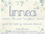 Linnea Meaning in English, Linnea Baby Name Origin Gender Meaning Pronunciation
