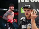 Logan Paul Points out Ben Askren’s Weakness to Brother Jake Paul