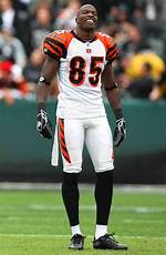 Lol! Chad Johnson Says He Has a ‘Farm’ of Kids