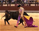 Los Toros No Son Cultura, Son… Contracultura