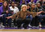 Lsu Women’s Basketball Coach Husband: Who Is Randy Robertson?