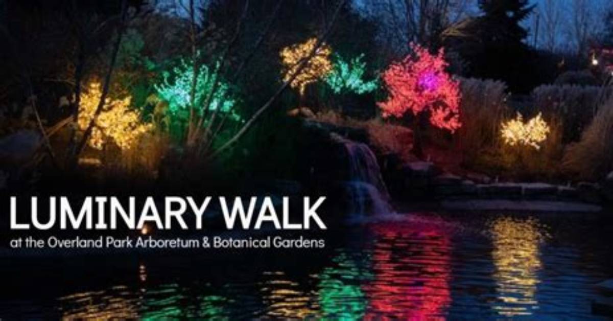 🎄 Luminary Walk @ the Arboretum | Macaroni Kid Overland Park - Olathe