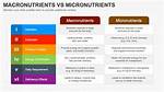 Macronutrients Vs. Micronutrients: Basics + Tips | Signos