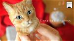 Making Hyperrealistic Cat Portraits with Wool Felt