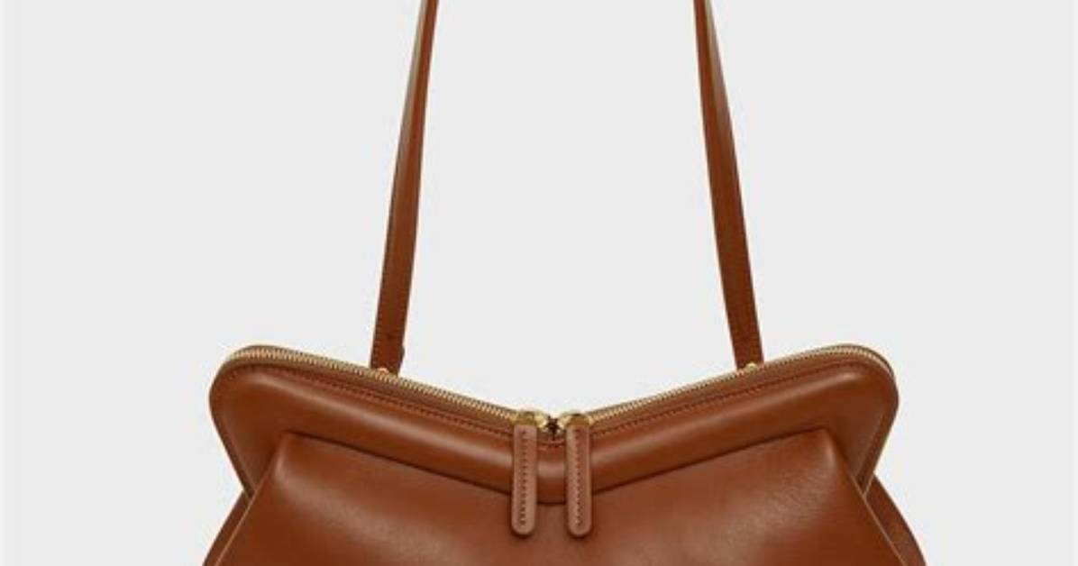 Mansur Gavriel M Frame Bag Review