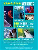 Maui Ocean Center Offers Discounted Admission | News, Sports, Jobs