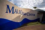 Maui Ocean Center to Reopen After 10 Months | News, Sports, Jobs