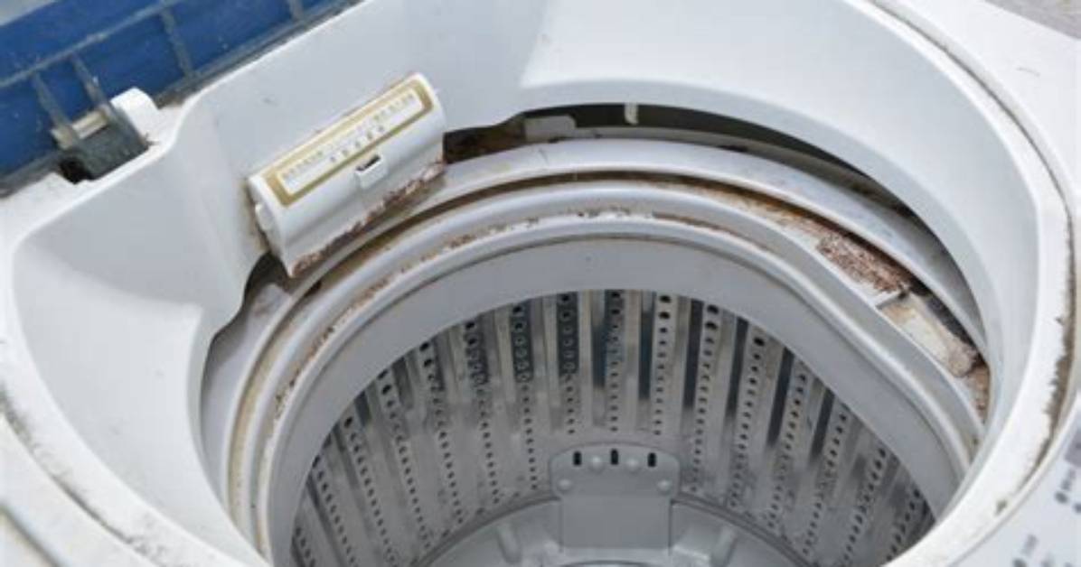 Mold Problems with Top Loader Washing Machines