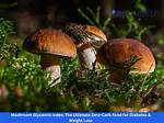 Mushroom Glycemic Index: Nutrition Facts, Weight Loss, Health Benefits