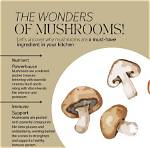 Mushroom Health Benefits: Nutrient-Rich Superfood | Signos