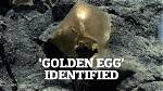 Mysterious 'Golden Egg' Is Discovered on the Seafloor off Alaska - and Experts Say They've Never Seen Anything Like It