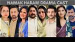 Namak Haram Drama Cast Name, Actors & Actress Details | Showbiz Hut