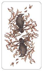 New Deck - the Tarot of Trees -