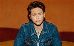 Niall Horan Spills About His Most Romantic Date
