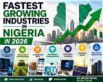 Nigeria's 31 Fastest Growing Businesses in 2023