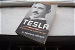 Nikola Tesla Siblings | the Bond of Blood