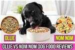Nom Nom vs Ollie Dog Food: Our 2024 in-Depth Comparison