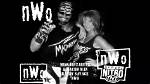 Nwo and Randy Savage | Wrestlezone Forums