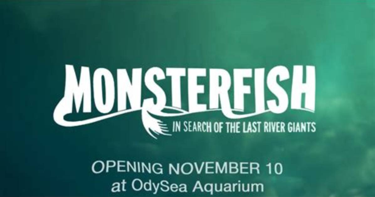 Odysea Aquarium Monster Fish Giveaway!