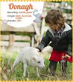 Oonagh Meaning in English, Oonagh Baby Name Origin Gender Meaning Pronunciation