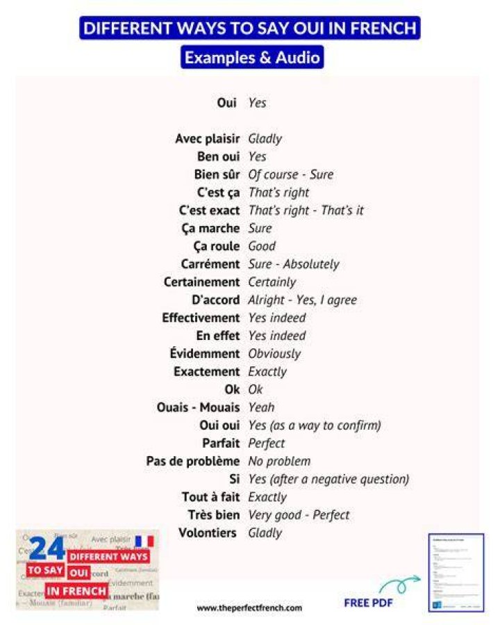 Oui Oui in French Means: A Comprehensive Guide to Understanding French Affirmation