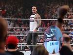 Paige Hilariously Trolls Cm Punk, Calls out Aj Lee for a Mega Rematch