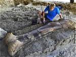 Paleontologists Find a 500Kg Sauropod Femur in France