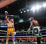 Paul-Mayweather Bout Ends in No Result, Draws in a Bit of Spice!