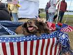 Paw-Triotic Pet Parade | Macaroni Kid Overland Park - Olathe